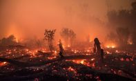 Netizen Tuduh Korindo Group sebagai Perusahaan yang Merusak Hutan Papua dengan Api