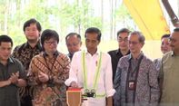 Jokowi Utamakan Investor Dalam Negeri untuk Pembangunan IKN, Rem Dulu Investasi Asing