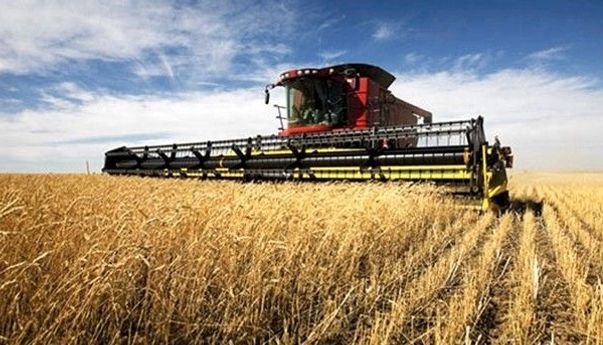 Siap-siap Petani Bisa Berangkat ke Australia Bebas Visa