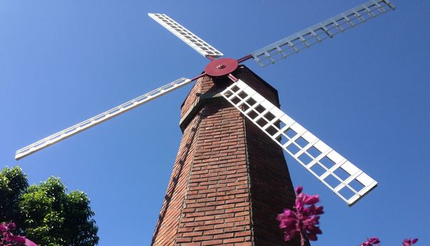 3 Tempat Wisata Kopeng Jawa Tengah Yang Tak Boleh Anda Lewatkan