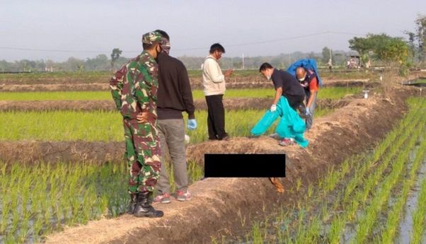 Berita Jateng: Petani asal Sragen Meninggal Tersengat Jebakan Tikus Buatan Menantu