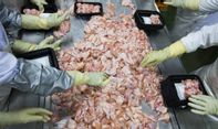 Terbaru: China Hentikan Impor Makanan Beku dari Negara dengan Kasus Covid-19 Parah, Indonesia Salah Satunya