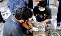 Tanam Ganja di Kost, Polisi Bekuk Mahasiswa Semester Akhir di Yogyakarta