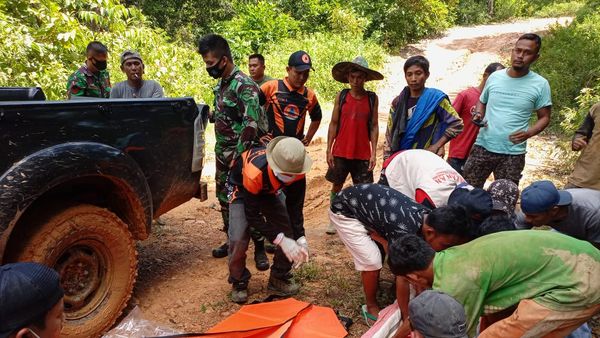 Kabar Duka dari Sumbar, 7 Warga Meninggal Akibat Longsor Tambang Emas