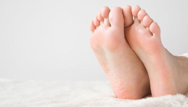 Struktur Anatomi dan Fungsi Tulang Telapak Kaki Manusia