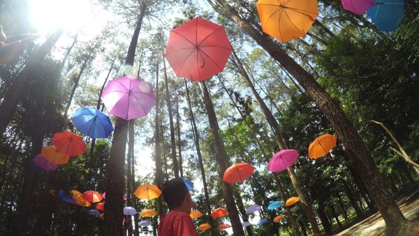 Di Sini Tempat Hunting di Banjarbaru yang Cocok Untuk Latar Foto OOTD