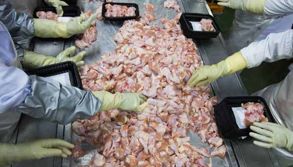 Terbaru: China Hentikan Impor Makanan Beku dari Negara dengan Kasus Covid-19 Parah, Indonesia Salah Satunya