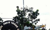 Pasar Seni Gabusan Bantul akan Dijadikan Pusat Barang Antik