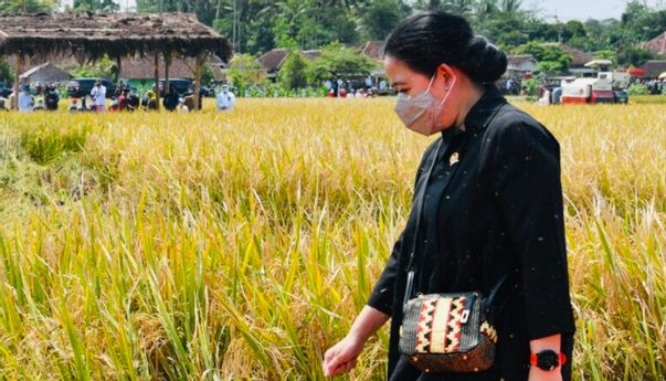 Di Semarang, Puan Maharani: Pemimpin itu di Lapangan Bukan di Sosmed