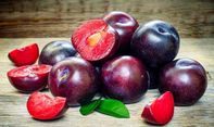 Penting Bagi Tubuh! Inilah Sederet Manfaat Buah Plum Bagi Kesehatan Tubuh