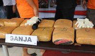 Bawa Ganja 52 Kilogram, Oknum TNI di Banten Ditangkap BNN
