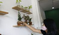 Terbukti! Di Masa Pandemi, Usaha Tanaman Hias Makin Cuan