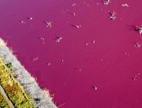 Danau Ini Berubah Warna Jadi Merah Muda Akibat Limbah Kimia, Bukan karena Fenomena Alam