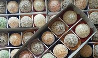 Onde Onde Cibus, Makanan Kekinian Kreasi Anak SMA di Yogyakarta