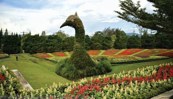 Rekomendasi Tempat Wisata di Cianjur yang Asik