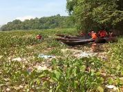 Eceng Gondok di PLTA Saguling Ancam Operasional, TNI dan Warga Turun Tangan?