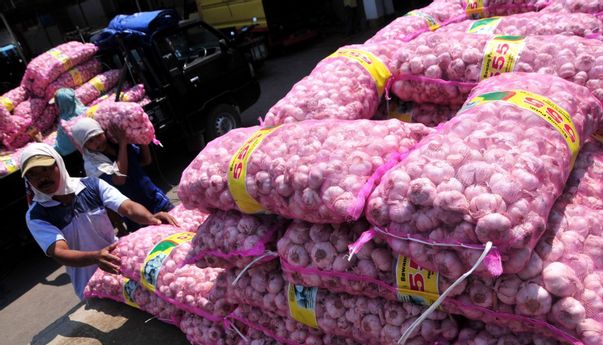 Indonesia Impor Bawang Putih 78 Ribu Ton Bulan Ini