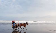 Luar Biasa! Objek Wisata Bantul yang Sudah Buka Terus Diserbu, Jumlah Wisatawan Mendekati Masa Normal