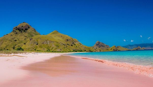 Pantai Gawu Soyo Desa Ombolata, Pantai Eksotis Berpasir Merah Muda