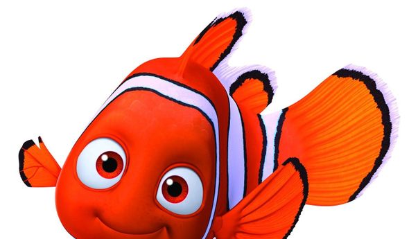 Mengungkap Alasan Kenapa Ikan Nemo Bergaris Tiga