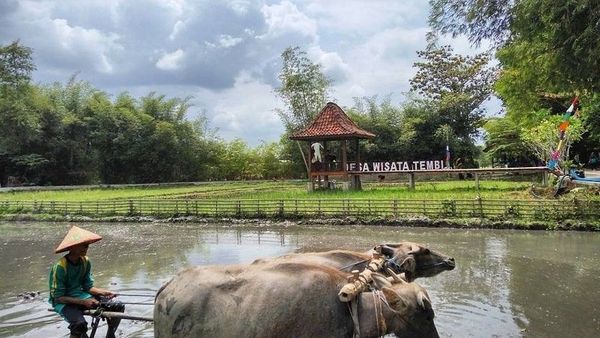 Bangkitkan Wisata Yogyakarta, Desa Wisata Disebut Bisa Jadi Pionir