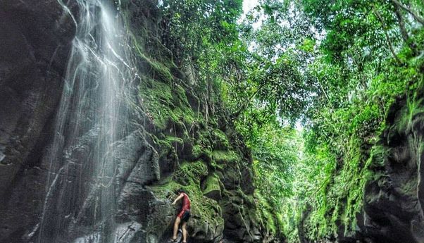 Pantai Monyet Salah Satu Wisata Labuhan Batu Utara Dengan Sungai Berombang