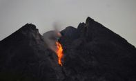 Dalam Tempo 12 Jam, Gunung Merapi Keluarkan 6 Kali Guguran Lava Pijar
