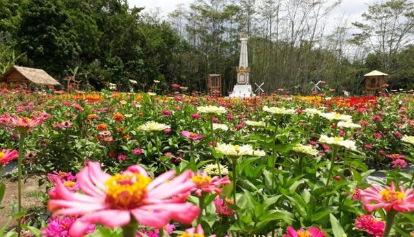 Kampung Flory Jogja: Tempat Wisata untuk Para Pecinta Tanaman Hias