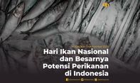 Hari Ikan Nasional dan Besarnya Potensi Perikanan di Indonesia