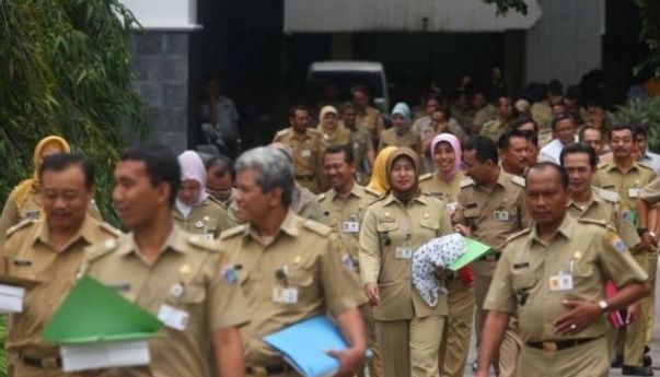 Siap-siap Pendaftaran CPNS 2019 Akan Segera Dibuka, Intip Syarat dan Alur Pendaftarannya