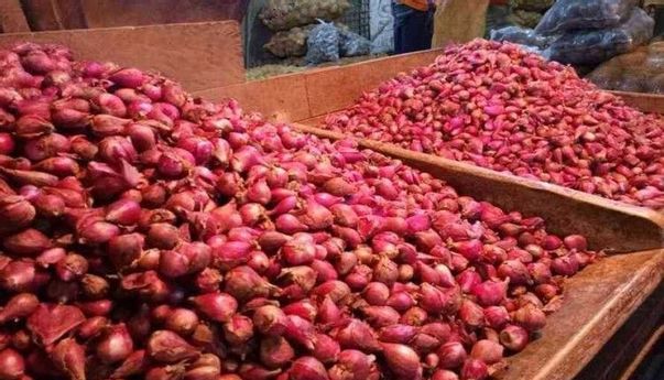 Harga Bawang Merah Naik Drastis hingga Mencapai Rp 65 Ribu/Kg