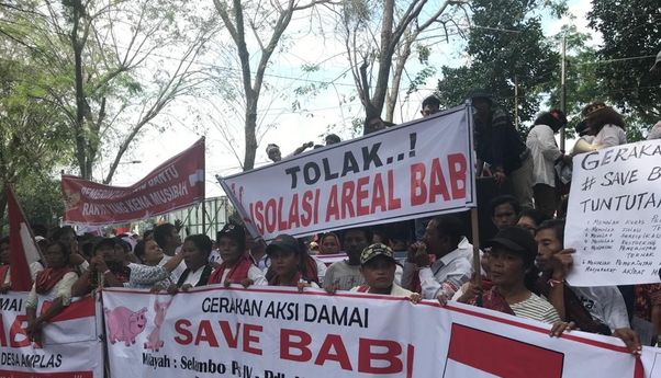 Viral #SaveBabi dan Penetapan Hari Kedaulatan Babi Nasional