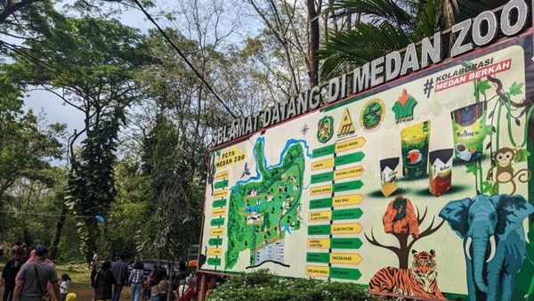 3 Harimau Ditemukan Mati di Kandangnya, Pemkot Medan Bakal Tutup Sementara Medan Zoo