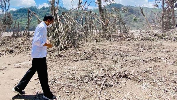 Jokowi Kena Sindir Bupati Lumajang, Bekas Erupsi Bukan Tempat Foto Selfie dan Wisata
