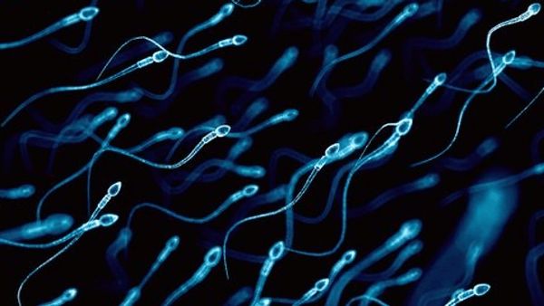 Warna Sperma Bisa Jelaskan Kondisi Kesehatan, Seperti Apa?