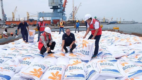 Indonesia Resmi Impor 200 Ribu Ton Beras, Bos Bulog Pastikan Stabilitas Harga