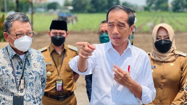 Jokowi Targetkan Swasembada Gula, Siapkan 700 Ribu Hektare Lahan Tebu