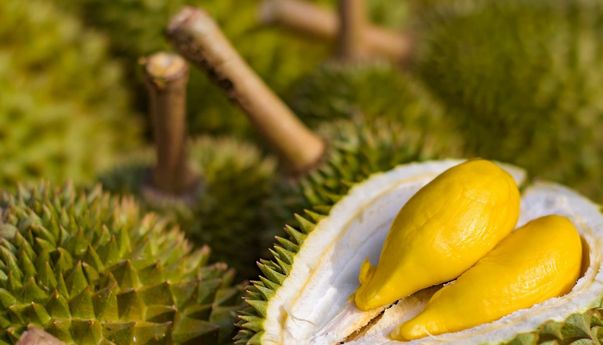 Terungkap! Manfaat Durian Bagi Ibu yang Sedang Menyusui