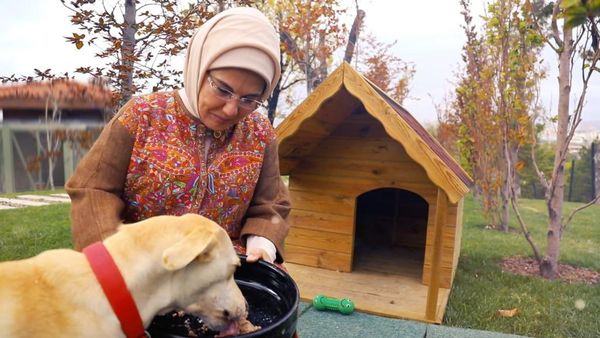 Tak Takut Haram, Emine Erdoğan Istri Presiden Turki yang Berjilbab Ternyata Pecinta Anjing