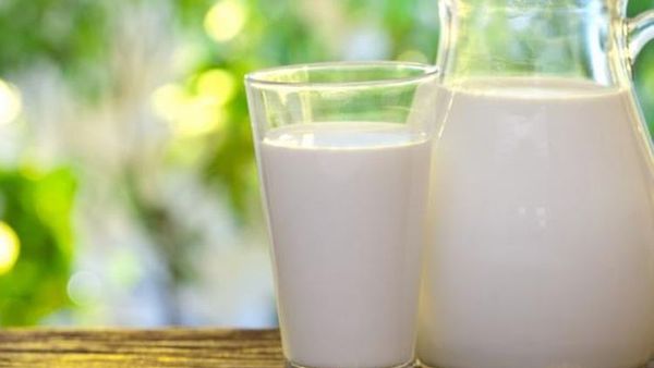Konsumsi Susu Sapi Mentah Lebih Baik Ketimbang Hasil Pasteurisasi? Cek Dulu Risikonya di Sini!