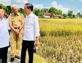 Jokowi dan Ganjar Bagikan Sertifikat Tanah Di Jateng, Sampai Becek-becekan