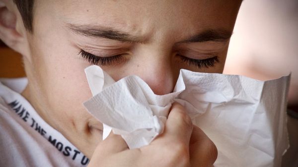 Inilah Berbagai Obat Flu Alami yang Dapat Membantu Proses Penyembuhan Lebih Cepat