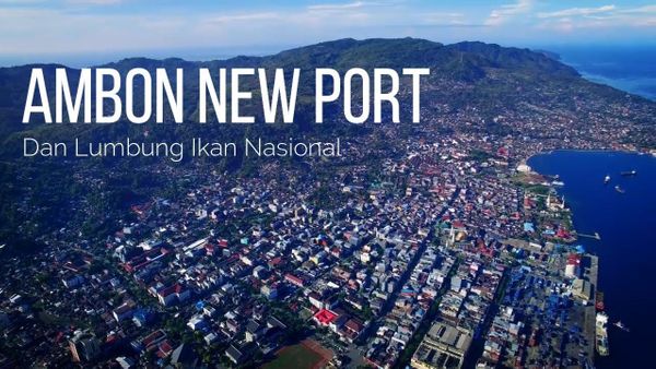 Pembangunan Ambon New Port Mangkrak karena Alasan Tak Ada Duit, DPR: Kami Ditipu Presiden dan Menteri