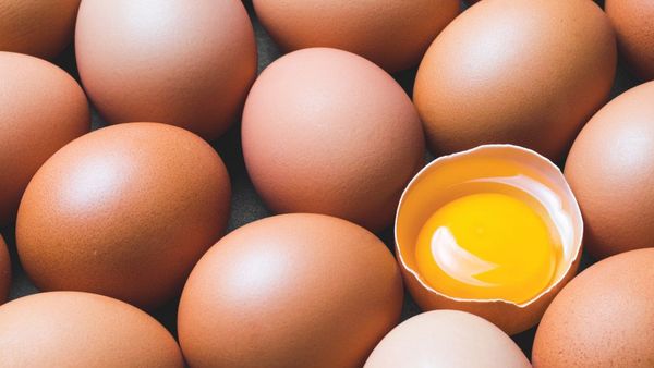 Hati-hati! Ini 5 Efek Samping Jika Terlalu Banyak Makan Telur Ayam