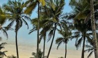 Disebut Mirip Hawaii, Inilah Fasilitas, Tiket, dan Rute Pondok Bambu Rangdo di Bantul