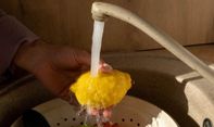 Tak Perlu Sabun, Bahan-bahan Alami Ini Dapat Digunakan Untuk Mencuci Sayur dan Buah
