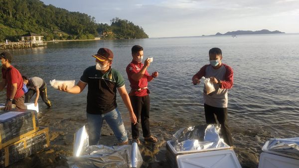 Mengintai Upaya Penyeludupan Benih Lobster di Sungai Pukul 05.00 WIB