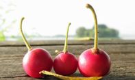 6 Manfaat Buah Kersen untuk Kesehatan yang Masih Sering Disepelekan