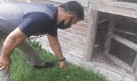 8 Ekor Burung Nuri Senilai Rp 50 Juta Hilang Digondol Maling, Pelaku Tinggalkan Sepasang Sandal Jepit