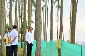 Pagi Cerah di IKN, Jokowi Ajak Para Menteri Menikmati Pemandangan dan Progres Pembangunan
